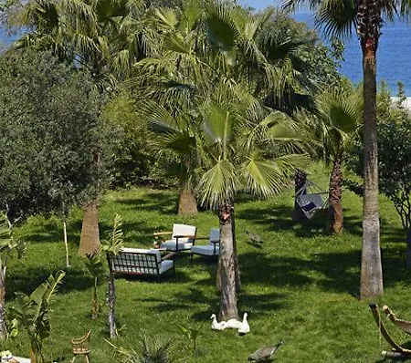 Hotel Olympos 3*